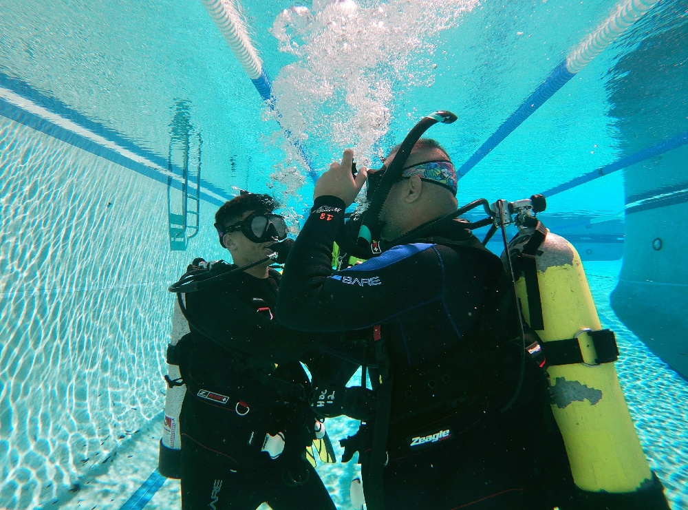 Students in the Pool