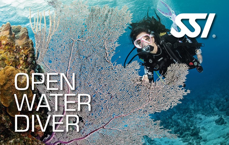 Open Water Diver SSI Logo